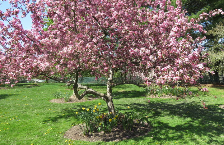 Shaker Historical Society